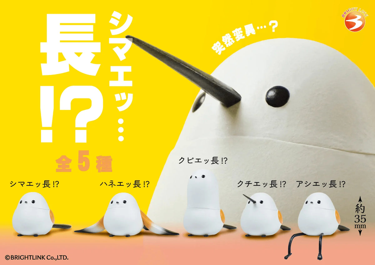 Extra-Long Shimaenaga!? (Box of 12)