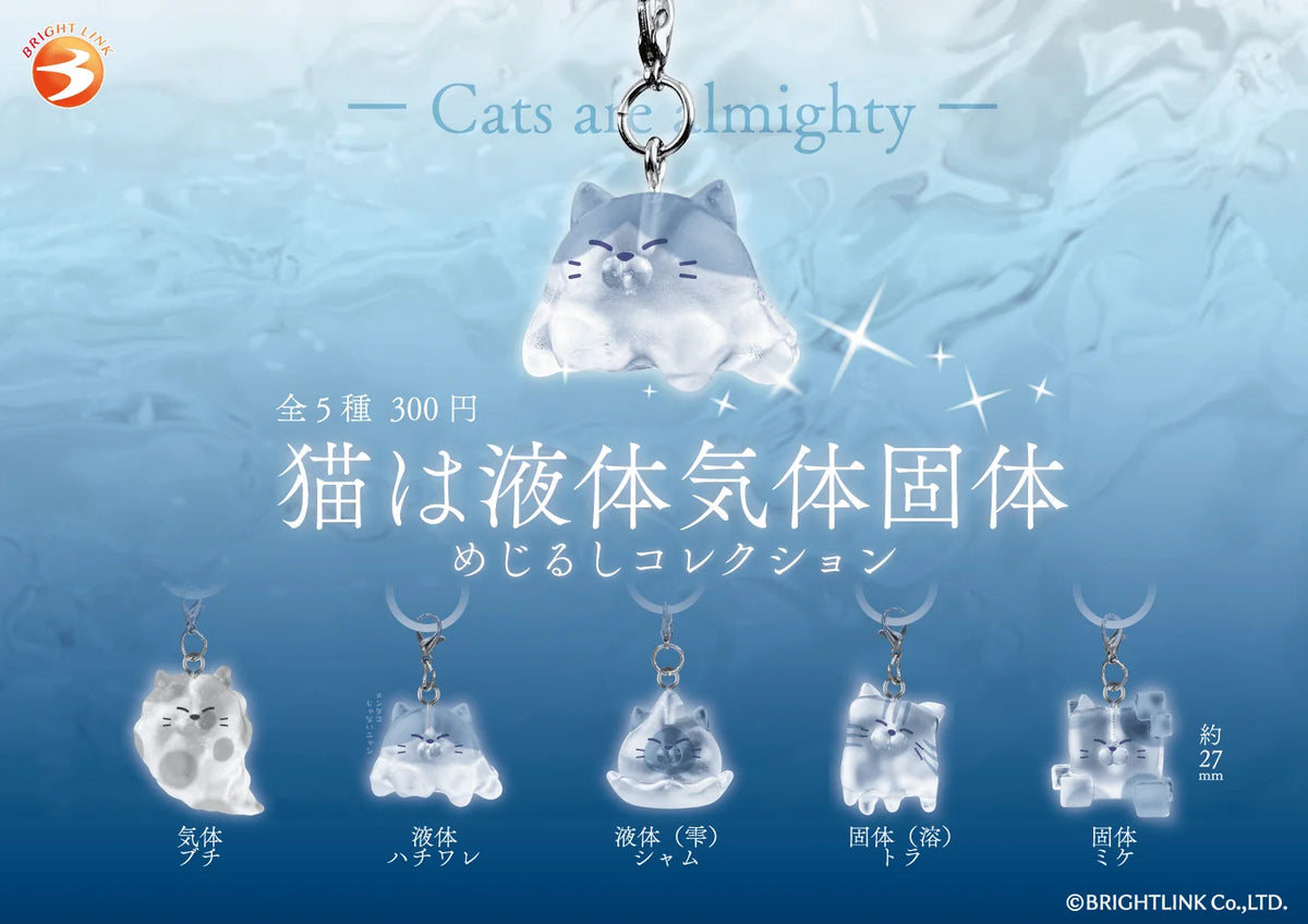 Cats Are Liquid, Gas & Solid Marker Charm (Box of 12)