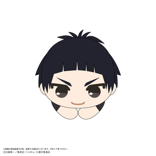 Haikyu!! HUG CHARACTER COLLECTION9 (6pc per box)