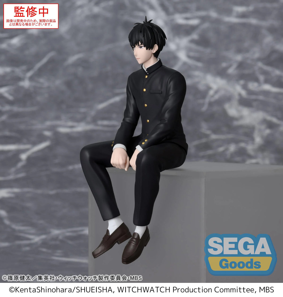 TV Anime WITCH WATCH PM Perching Figure Morihito Otogi