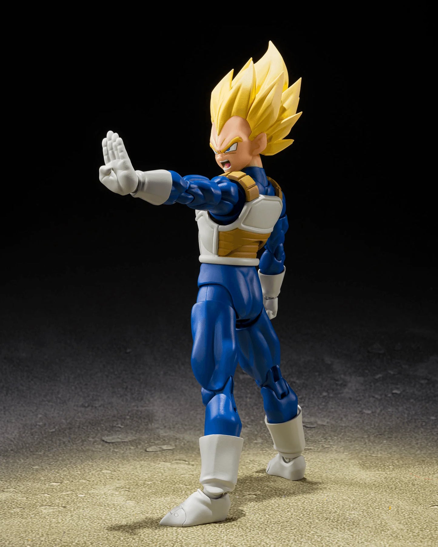 SUPER SAIYAN VEGETA <DANGEROUS PRIDE> "DRAGON BALL Z"