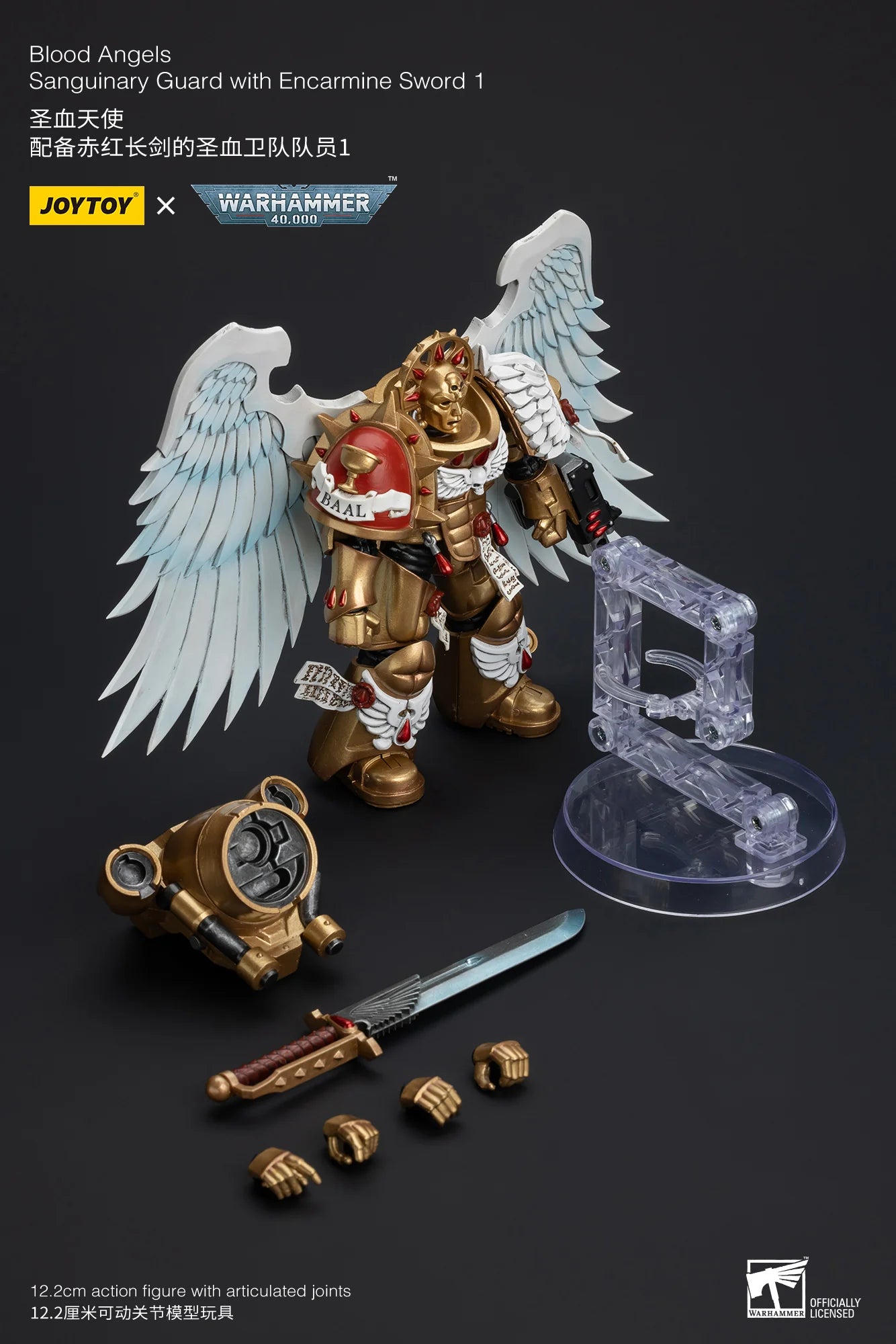 Blood Angels Sanguinary Guard with Encarmine Sword 1