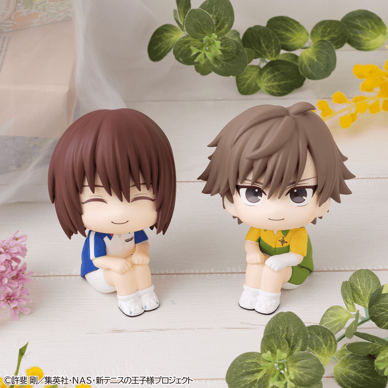 Lookup The New Prince of Tennis Shusuke Fuji & Kuranosuke Shiraishi【with gift】