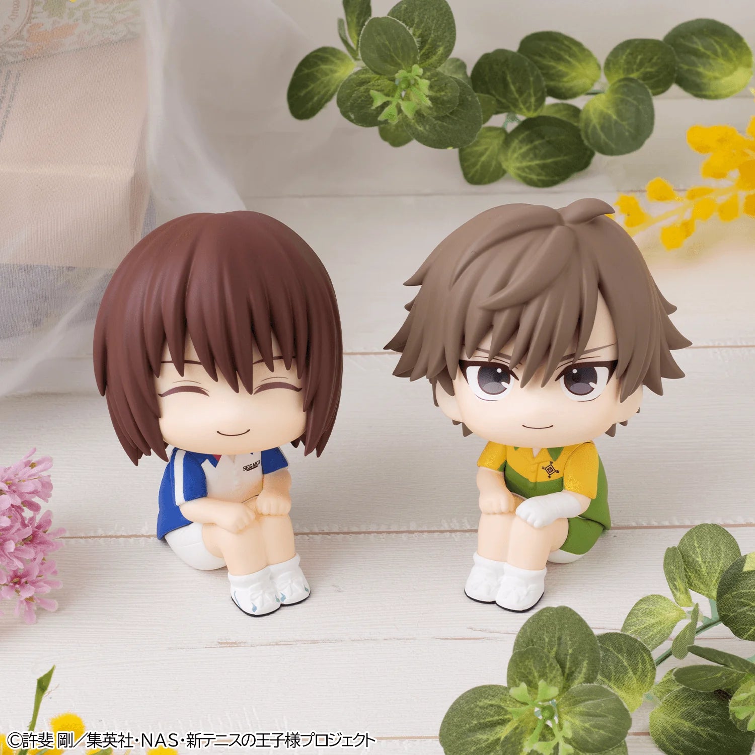 Lookup The New Prince of Tennis Shusuke Fuji & Kuranosuke Shiraishi【with gift】