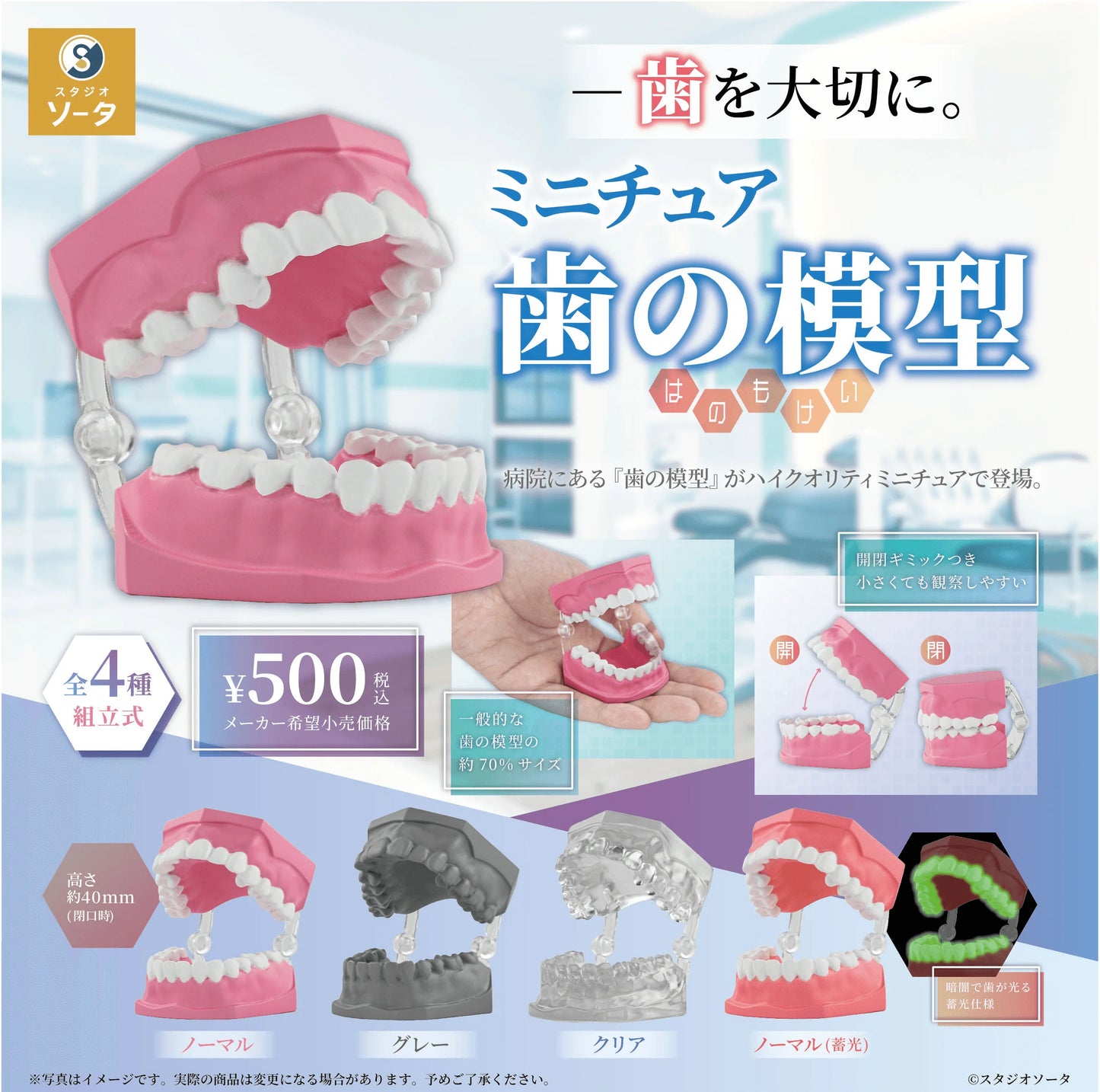 Miniature Tooth Models (Box of 20)