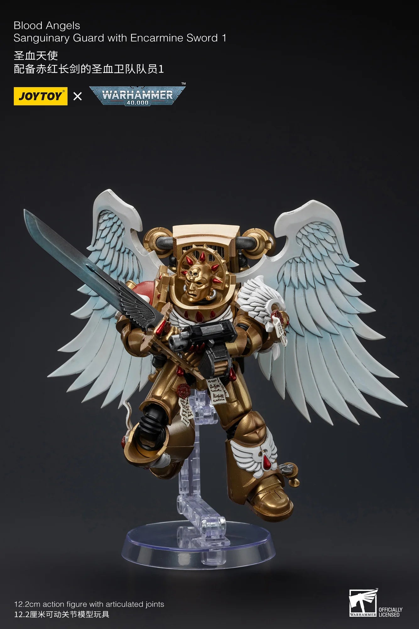 Blood Angels Sanguinary Guard with Encarmine Sword 1