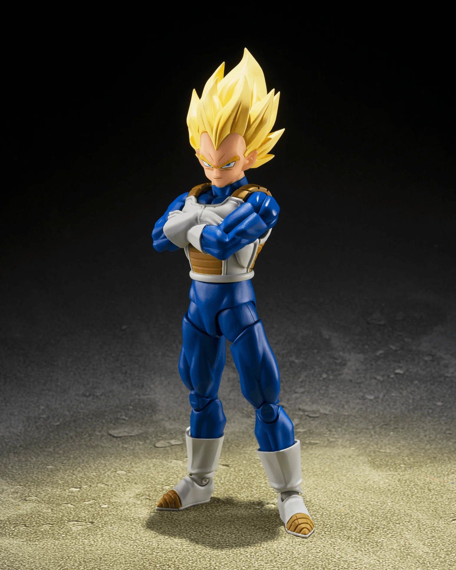 SUPER SAIYAN VEGETA <DANGEROUS PRIDE> "DRAGON BALL Z"