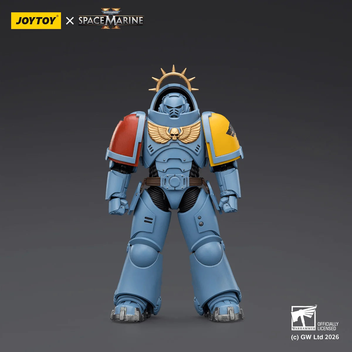 Game Edition Space Wolves Heavy Intercessor with Heavy Bolt Rifle and Bolt Pistol