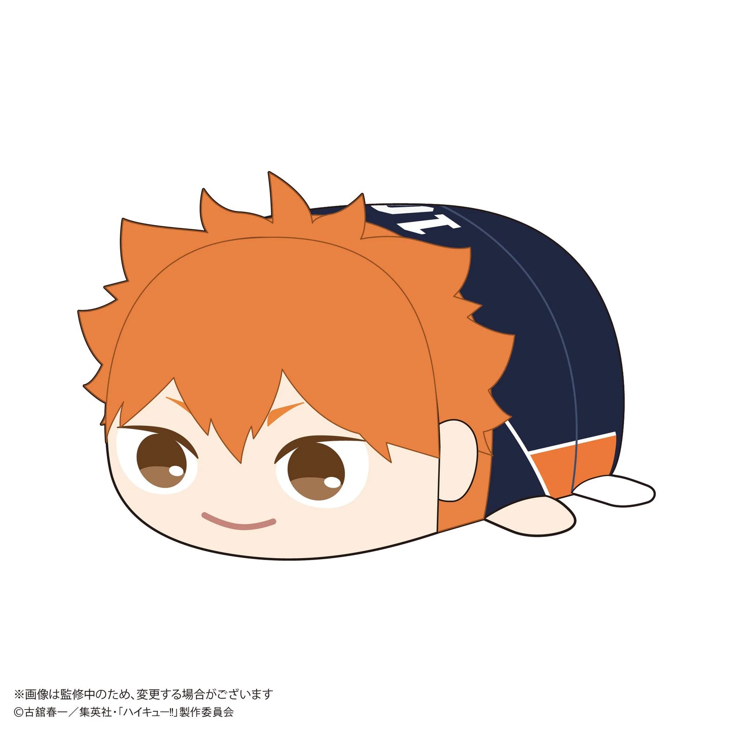 Haikyu!! POTE KORO MASCOT Msize (ITEM A)