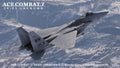 1/48 [ACE COMBAT 7 SKIES UNKNOWN] F-15C EAGLE "STRIDER 2"