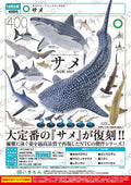 NTC 400 Sharks (Box of 30)