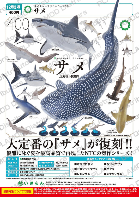 NTC 400 Sharks (Box of 30)