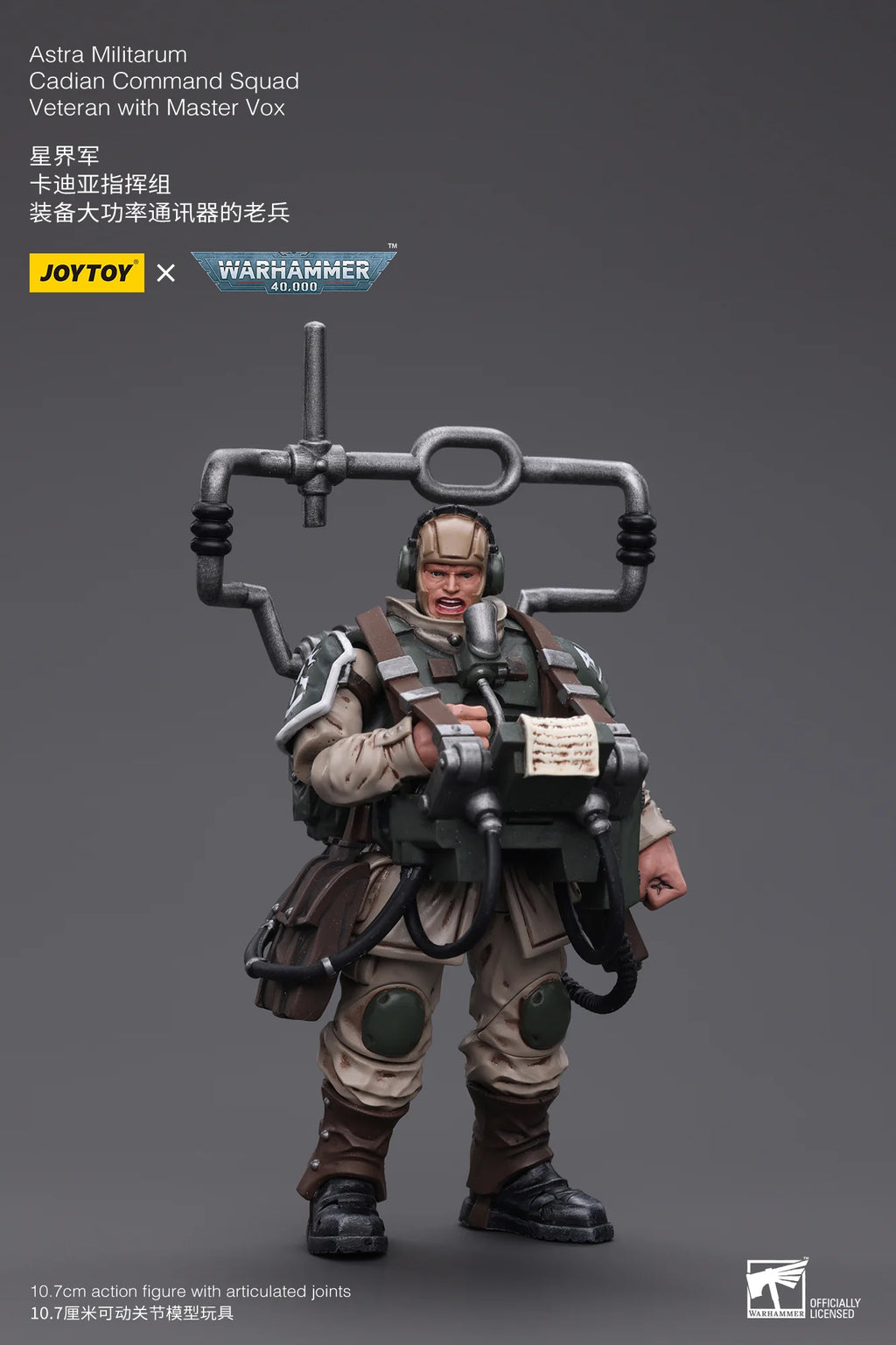 Astra Militarum Cadian Command Squad Veteran with Master Vox