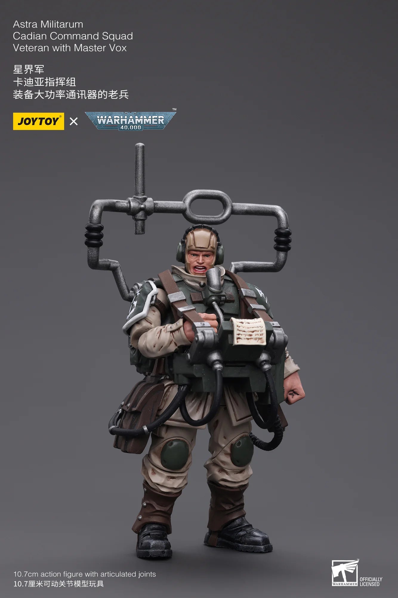 Astra Militarum Cadian Command Squad Veteran with Master Vox