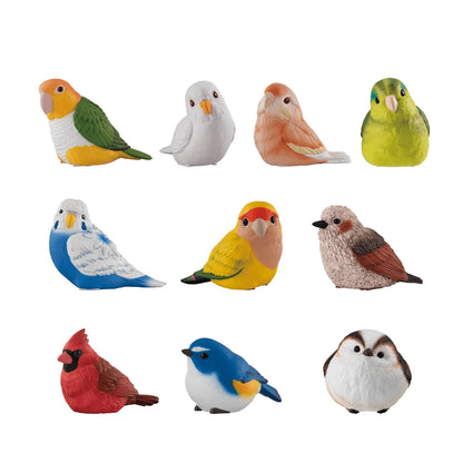 Tenori Friends 13 (Box of 12)