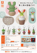 Mandrake collection 2 (Box of 40)