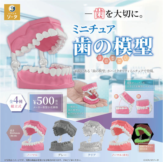 Miniature Tooth Models (Box of 20)