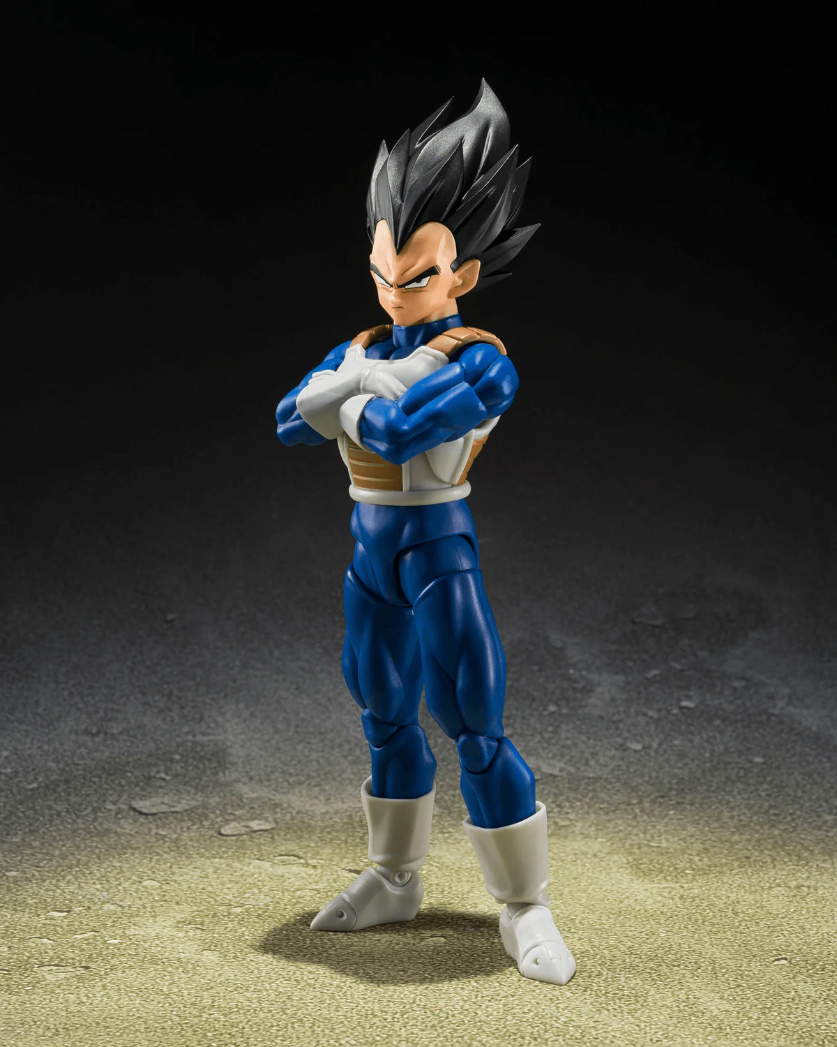 VEGETA <Z-FIGHTERS>