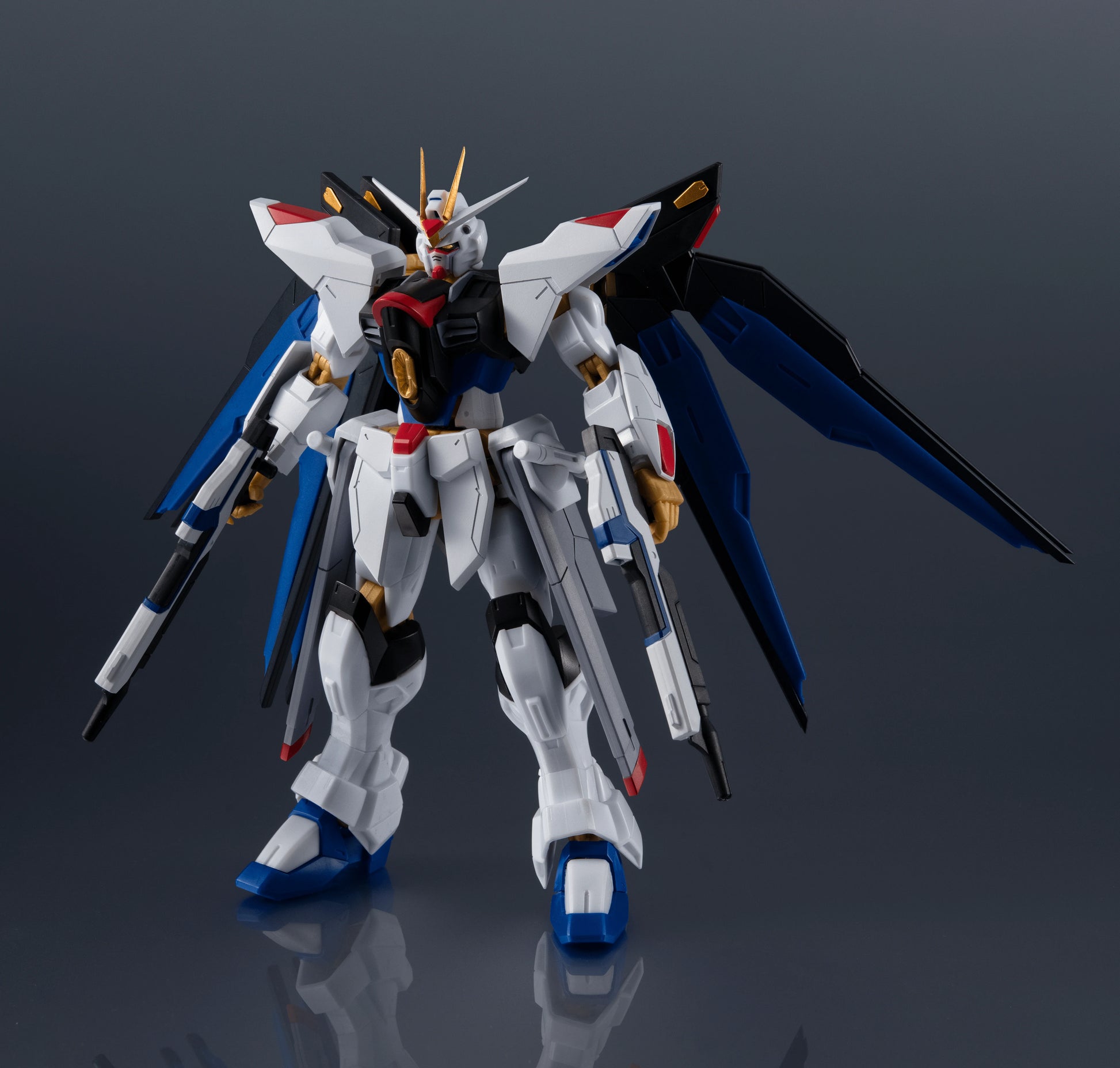 ZGMF-X20A STRIKE FREEDOM GUNDAM RENEWAL
