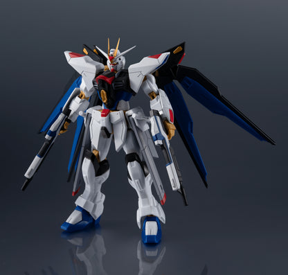 ZGMF-X20A STRIKE FREEDOM GUNDAM RENEWAL
