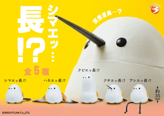Extra-Long Shimaenaga!? (Box of 12)