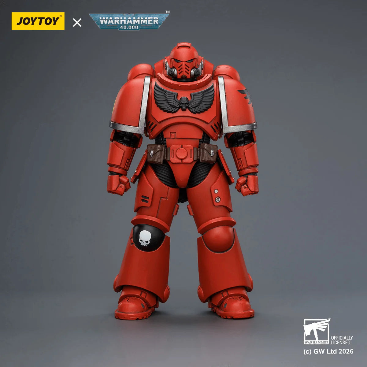 Blood Angels Intercessor with Bolt Rifle, Bolt Pistol and Chainsword