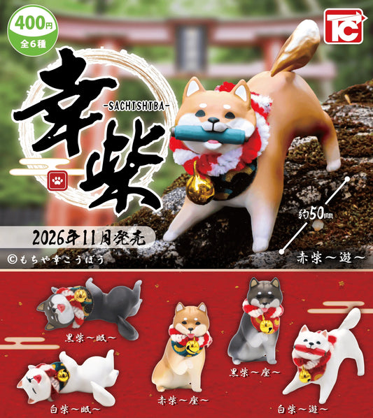 ＜Capsule Toy＞Sachishiba (Box of 30)