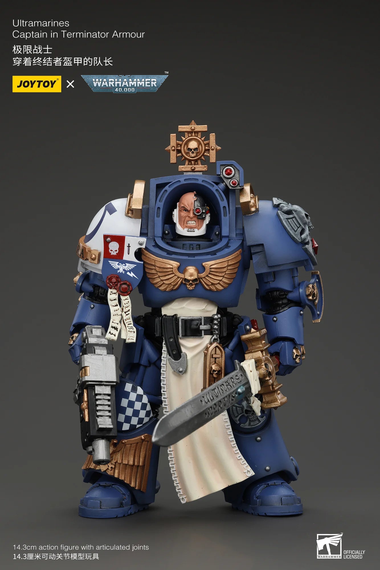 Ultramarines Captain In Terminator Armour