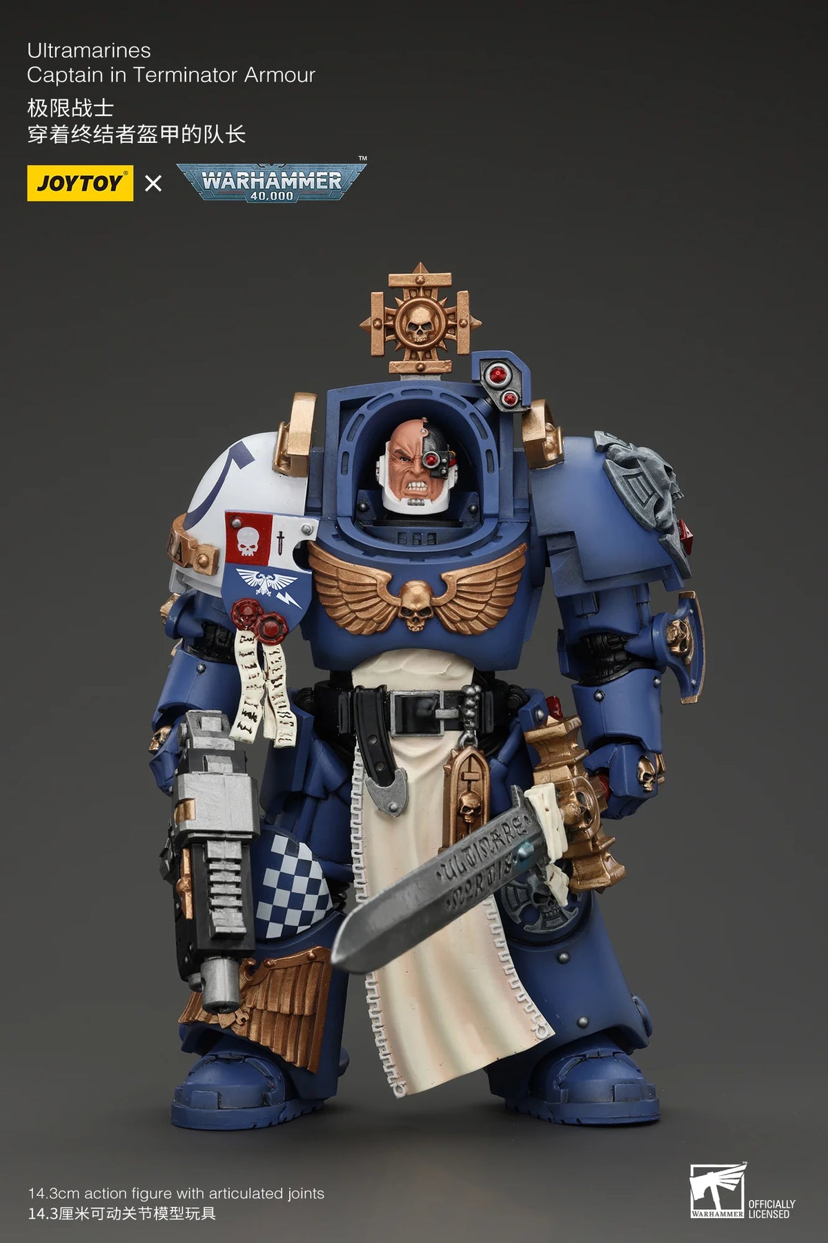 Ultramarines Captain In Terminator Armour