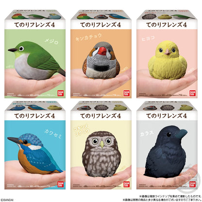 Tenori Friends 4 Birds (Box of 12)