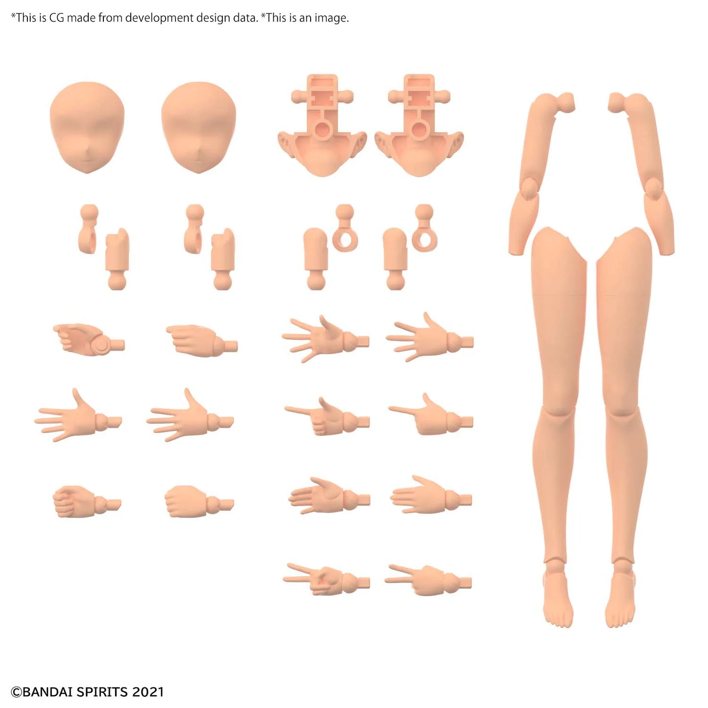 Bandai Hobby 30MS Option Body Parts Arm & Leg Set [Color C]