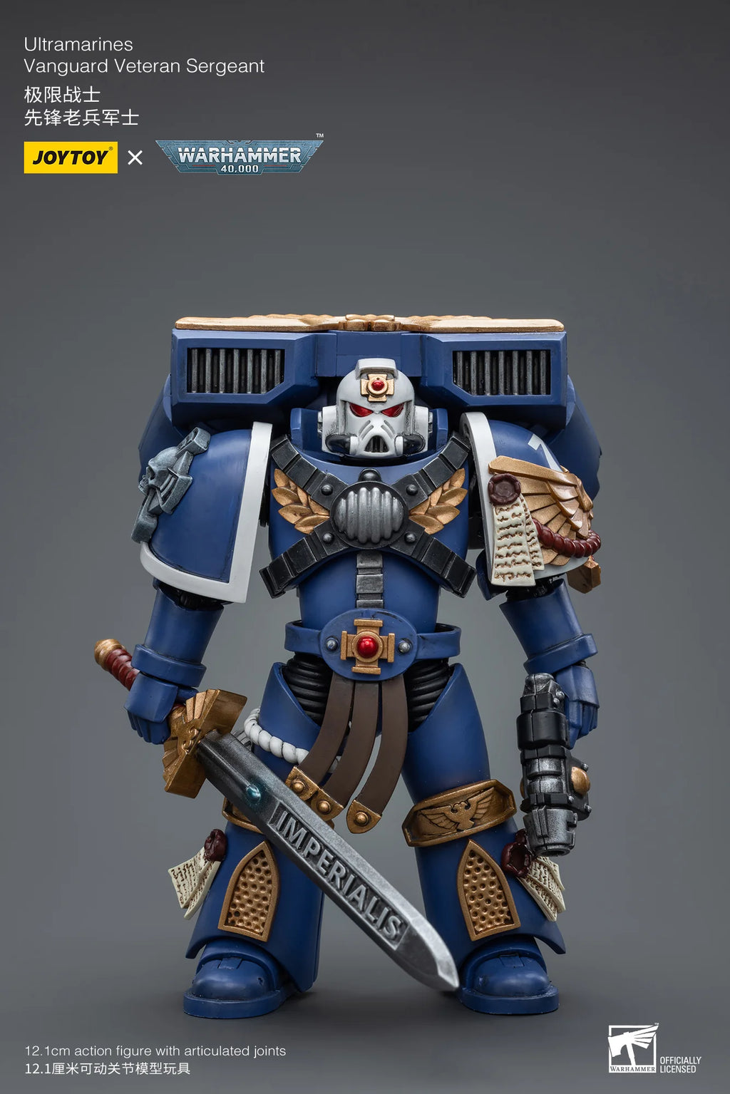 Ultramarines Vanguard Veteran Sergeant