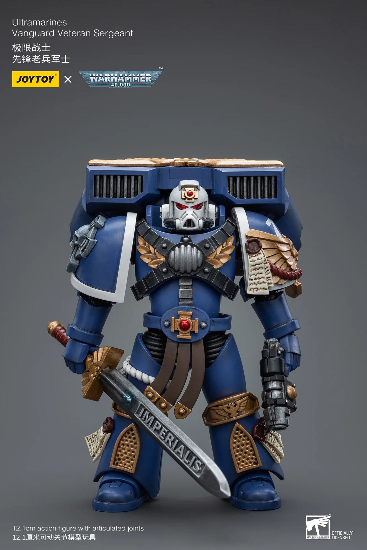 Ultramarines Vanguard Veteran Sergeant