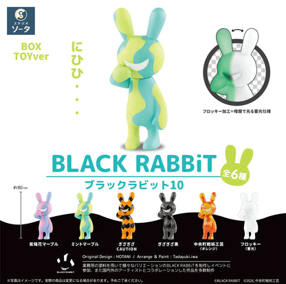 SO-TA BLACK RABBIT10 Blind Box PVC Figure