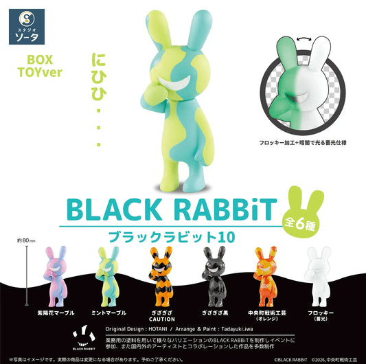 SO-TA BLACK RABBIT10 Blind Box PVC Figure