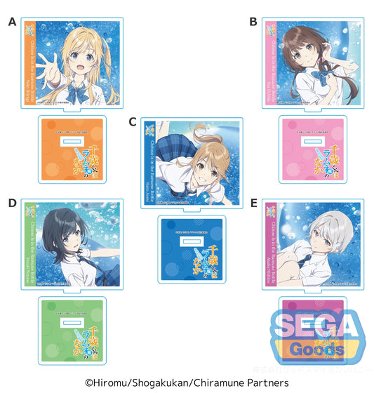 TV Anime "Chitose Is in the Ramune Bottle" CD Jacket-Style Acrylic Stand (EX)