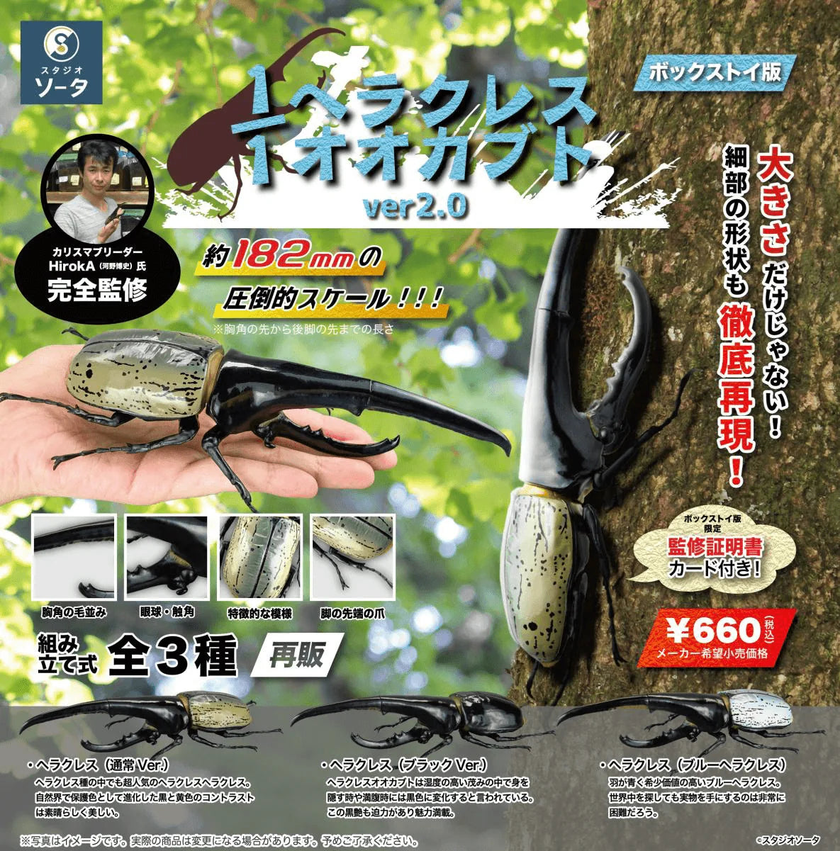 1/1 Hercules Beetle ver2.0 (Box of 4)