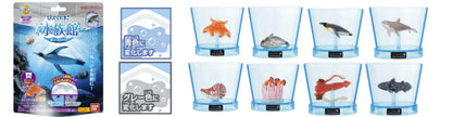 Bikkura Bath Bomb Aquarium Sea Creatures (Blind Box/8), Bandai Lifestyle Bath Bomb (8pc per box)