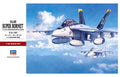 [PT38] 1:48 F/A-18F SUPER HORNET