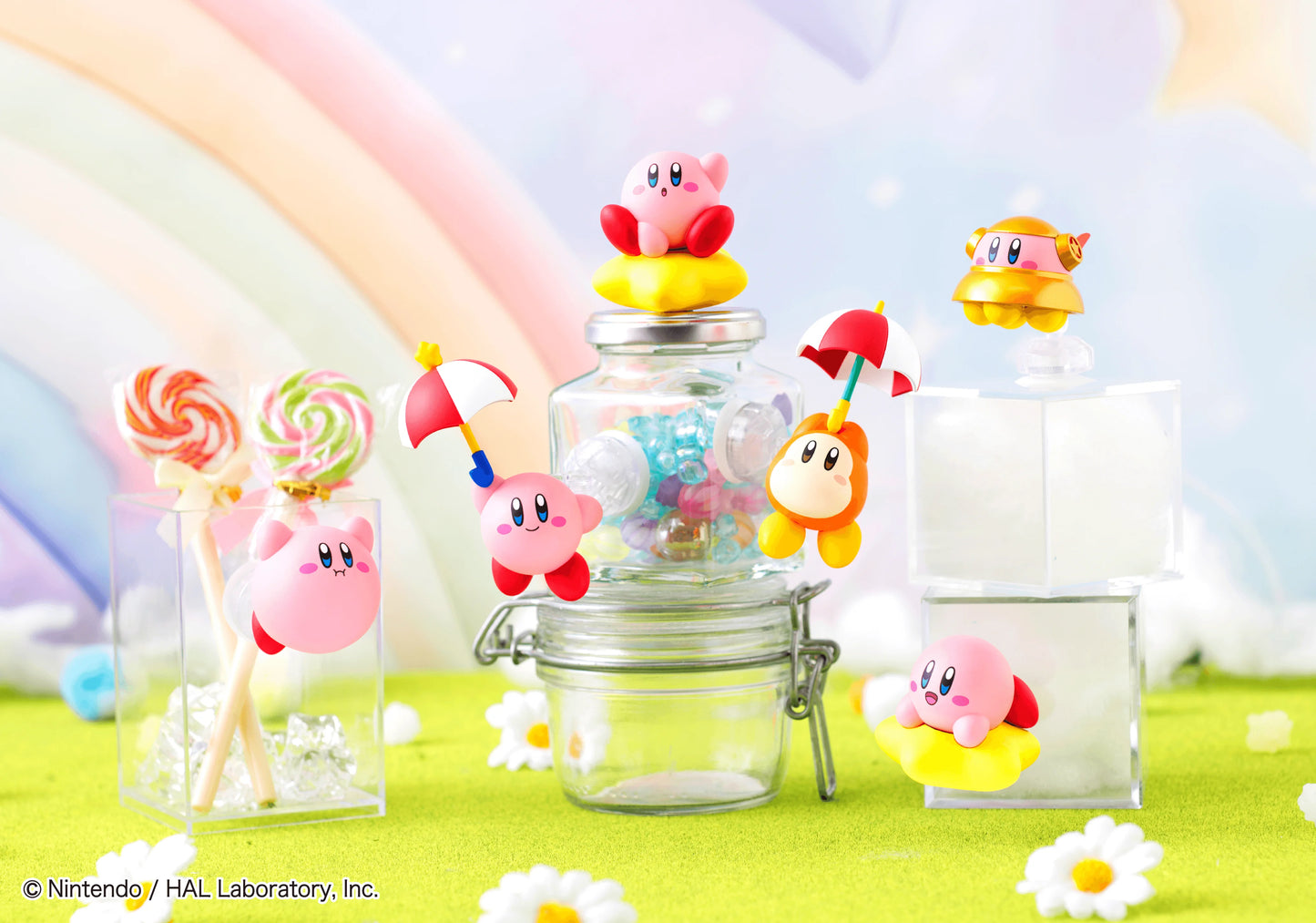 Tobimas Kirby (Box of 6)