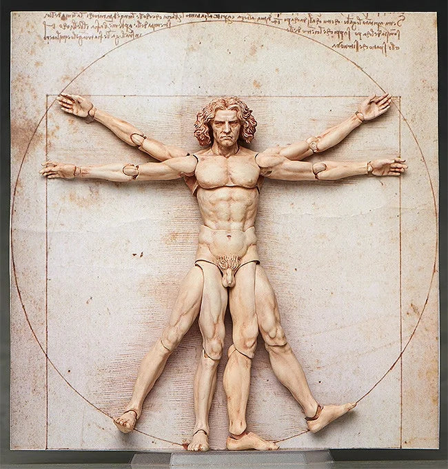 Good Smile Company figma Vitruvian Man Action Figure