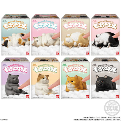 Bandai Shokugan Mocchiri Kororin Cats Squishy Vinyl Figures (Box/12)