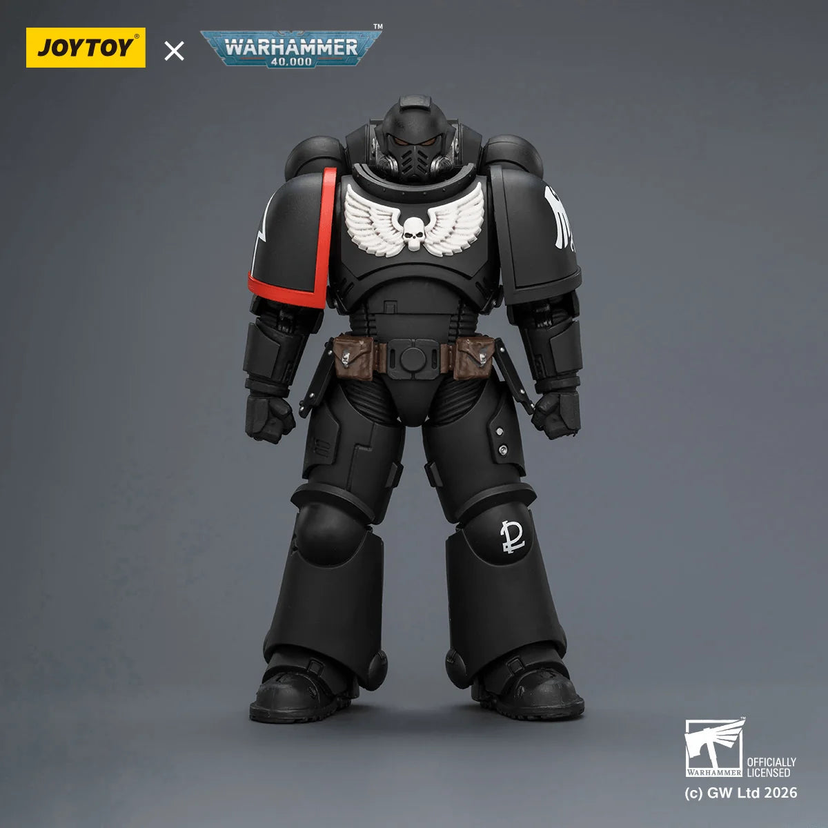 Raven Guard Intercessor with Bolt Rifle, Bolt Pistol and Chainsword