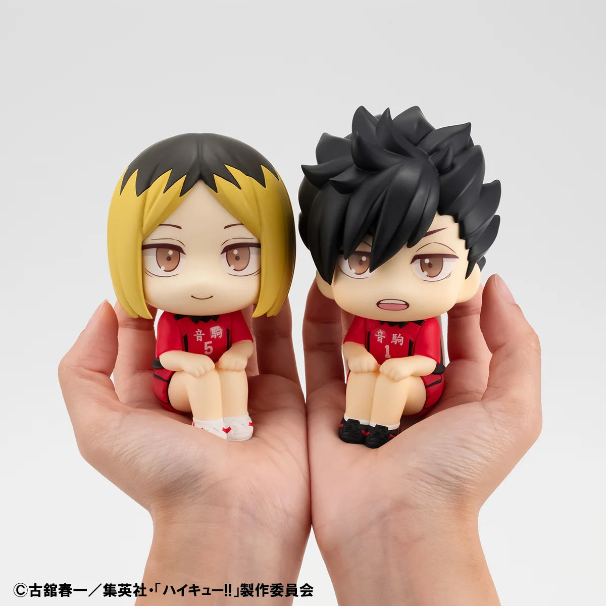 Lookup Haikyu！！ Kenma Kozume／Tetsuro Kuroo Uniform ver. 【with gift】