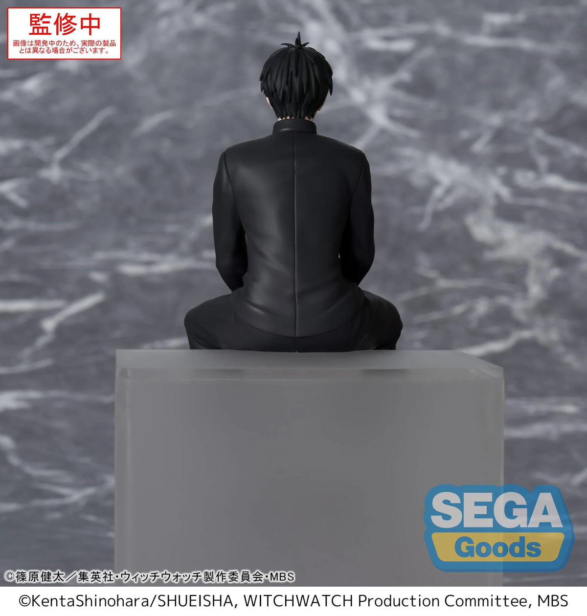 TV Anime WITCH WATCH PM Perching Figure Morihito Otogi
