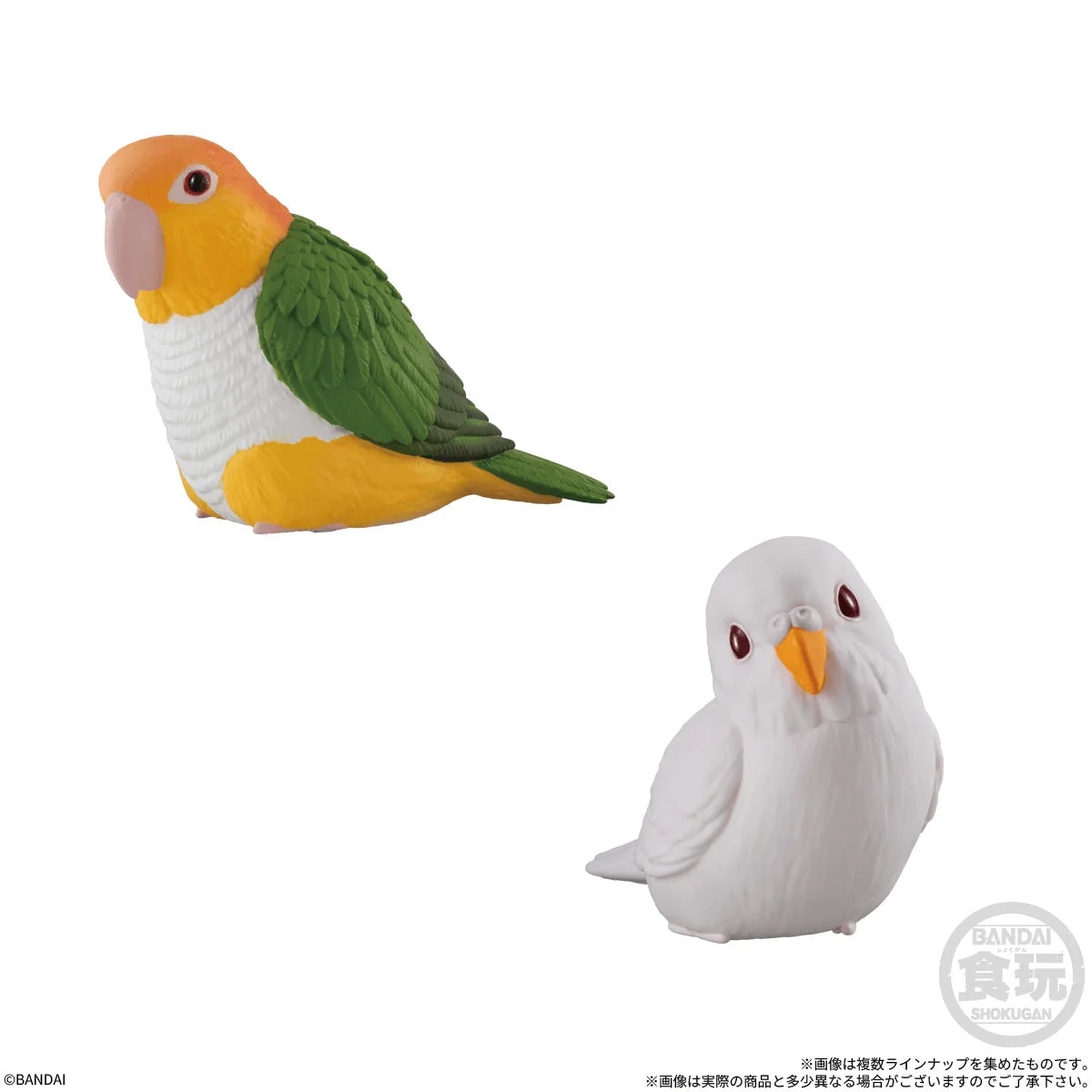 Tenori Friends 13 (Box of 12)
