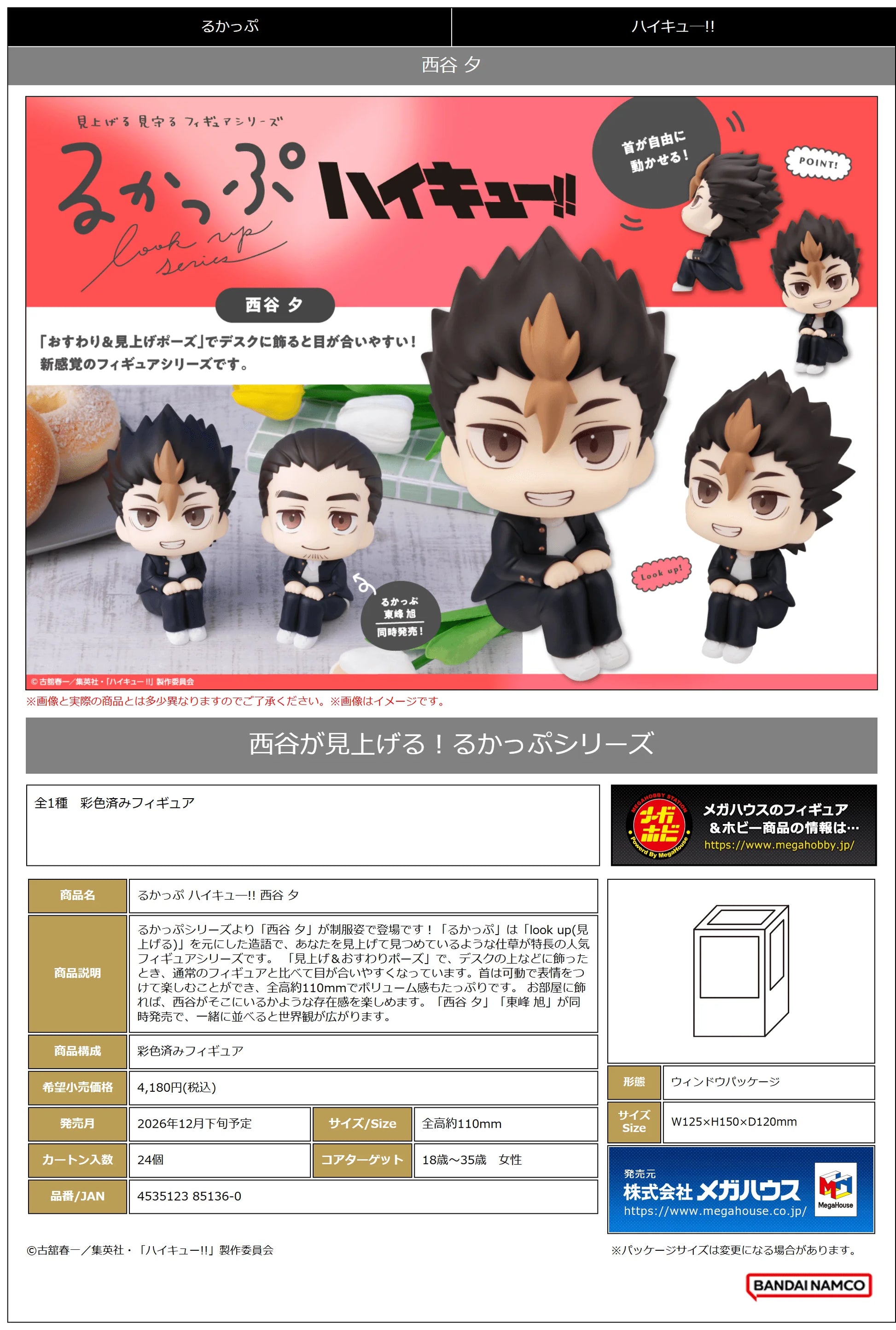 Lookup Haikyu!! Yu Nishinoya