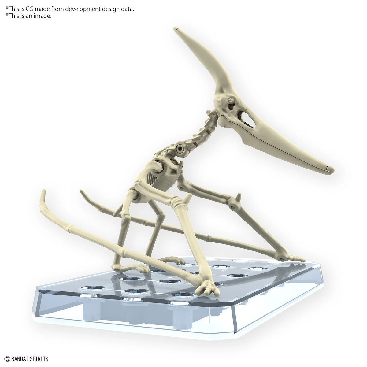 PLANNOSAURUS Pteranodon