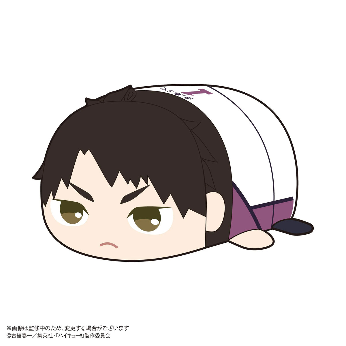 Haikyu!! POTE KORO MASCOT 2 (6pc per box)