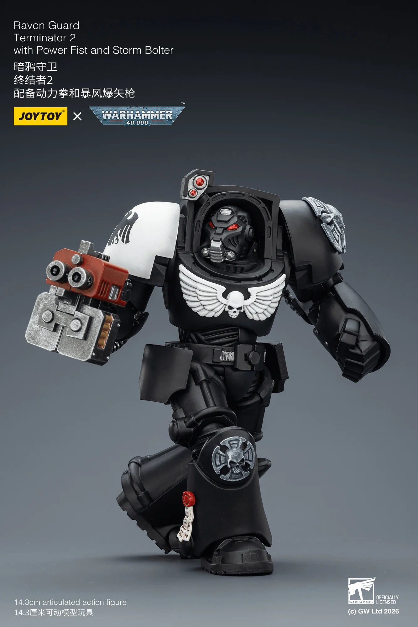 Raven Guard Terminator 2 with Power Fist and Storm Bolter